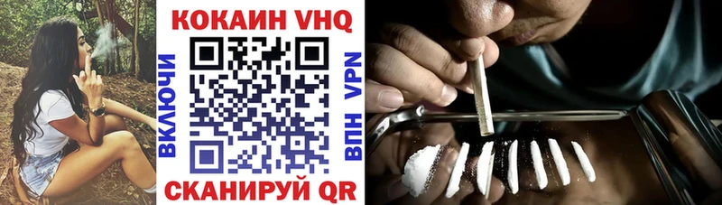 Купить закладки  Петровск  Cocaine Fish Scale 