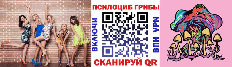 Купить где  Петровск  Галлюциногенные грибы Cubensis 