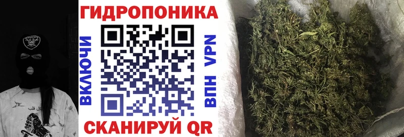 Конопля сатива  Купить  Петровск 